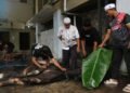 LDII Maluku Utara Laksanakan Kurban 1447 H, Sebanyak 62 Sapi dan 20 Kambing Disalurkan untuk Masyarakat
