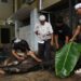LDII Maluku Utara Laksanakan Kurban 1447 H, Sebanyak 62 Sapi dan 20 Kambing Disalurkan untuk Masyarakat